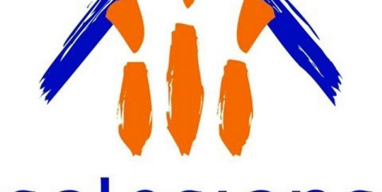 Logo Salesians Horta